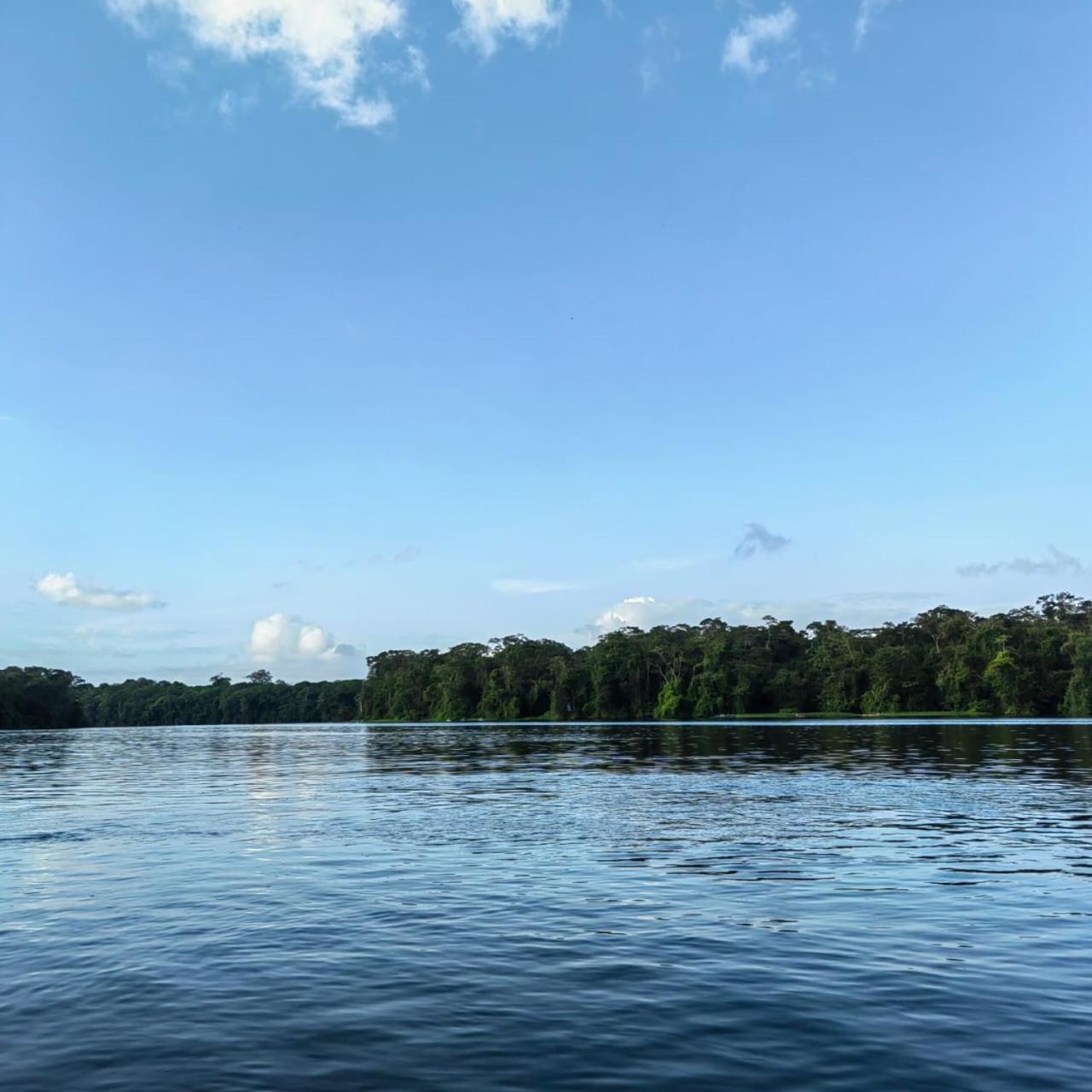 Tortuguero Villas エクステリア 写真