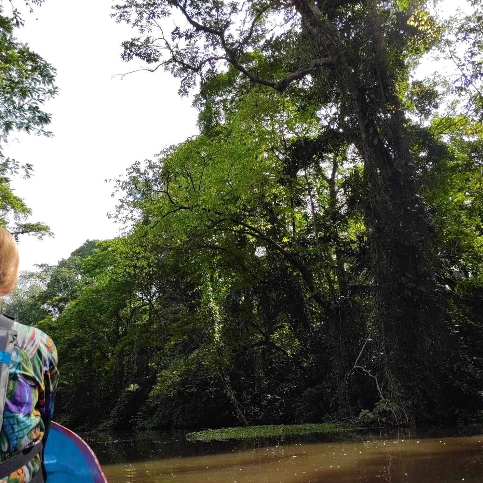 Tortuguero Villas エクステリア 写真