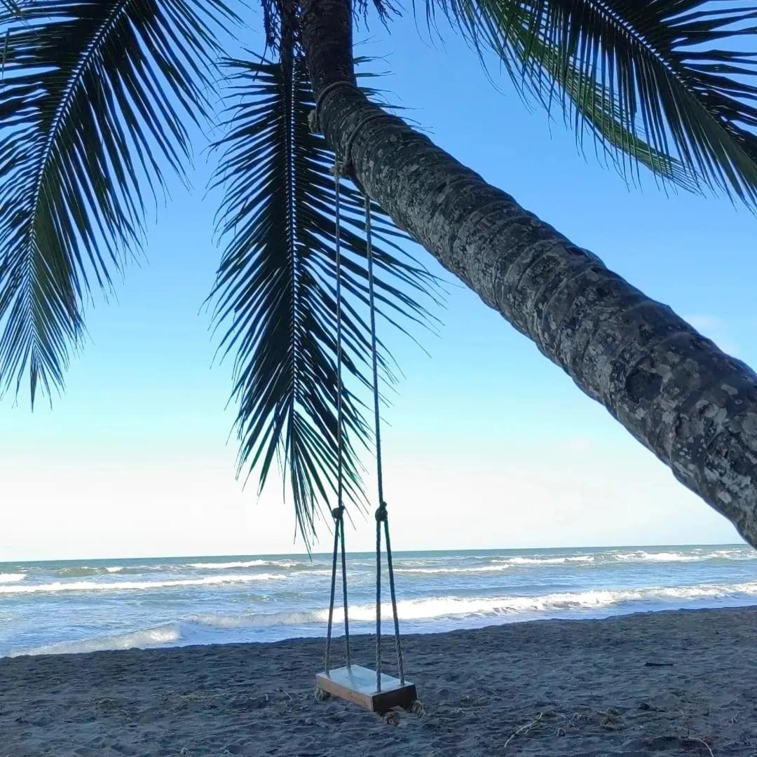 Tortuguero Villas エクステリア 写真