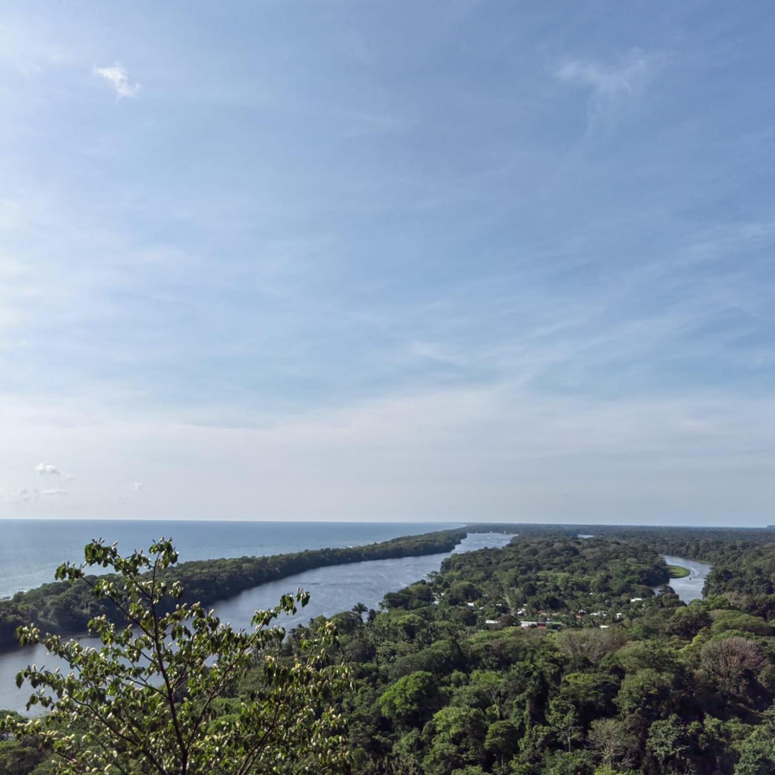 Tortuguero Villas エクステリア 写真