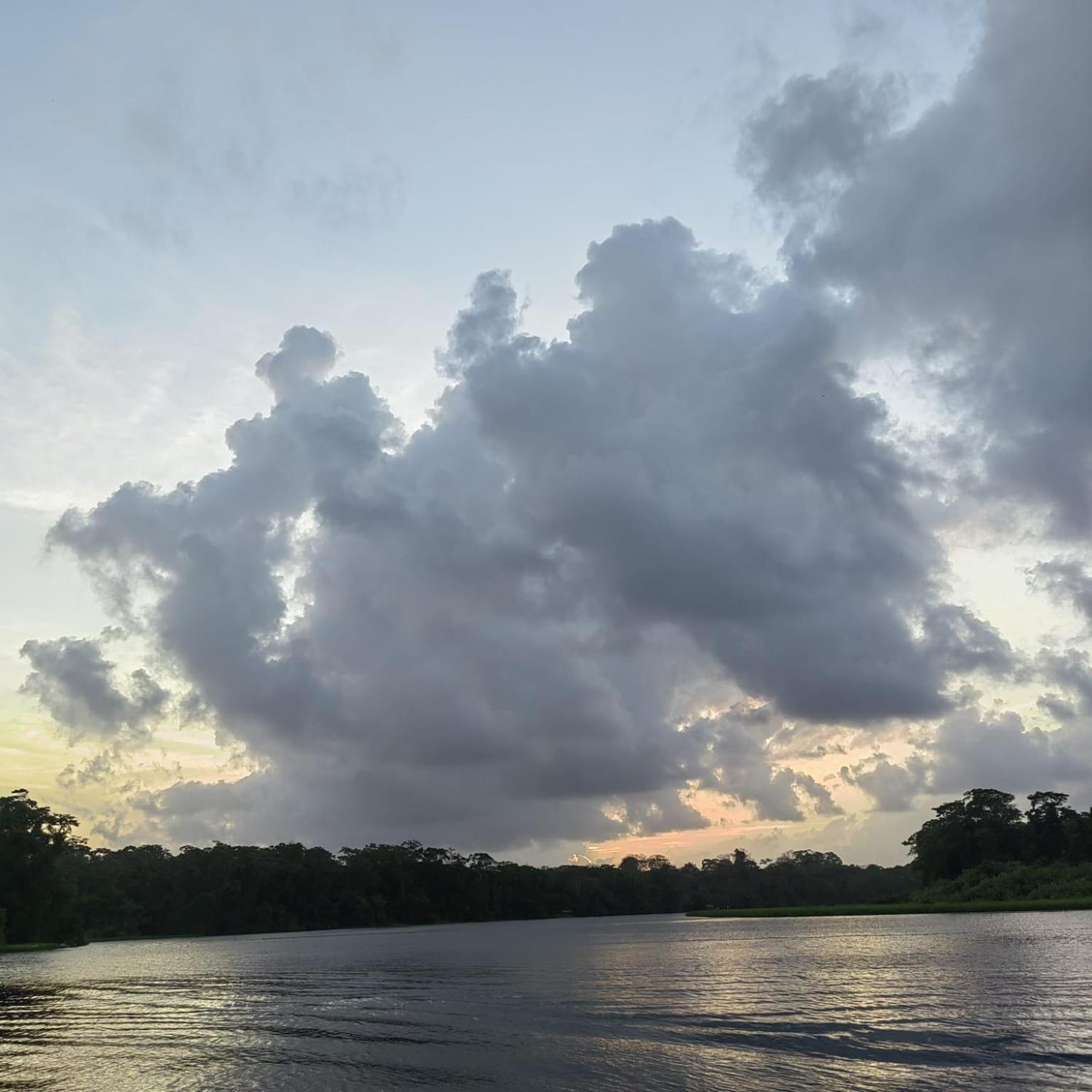 Tortuguero Villas エクステリア 写真