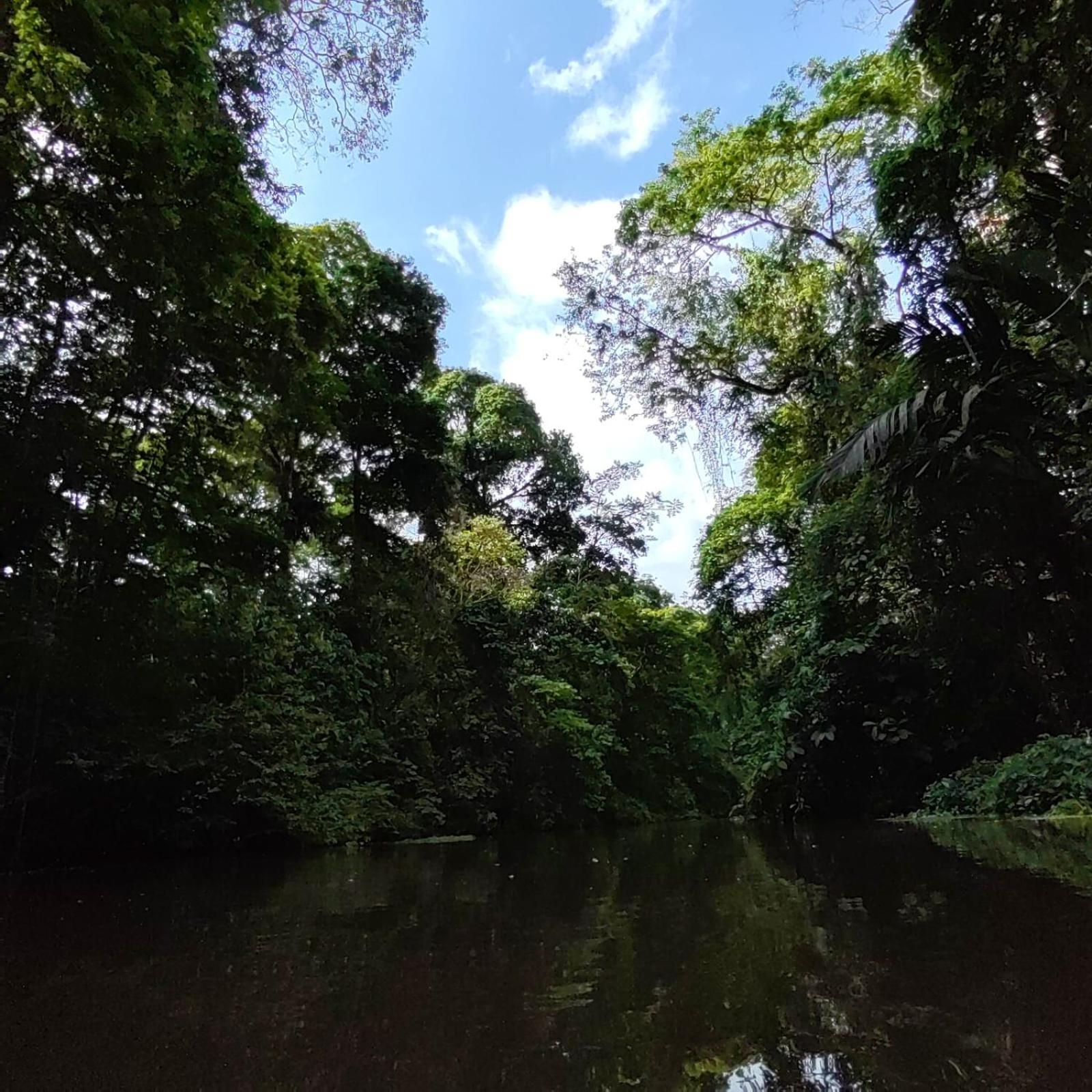 Tortuguero Villas エクステリア 写真
